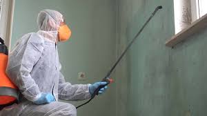 Best Mold Odor Removal Services  in New Kingman Butler, AZ